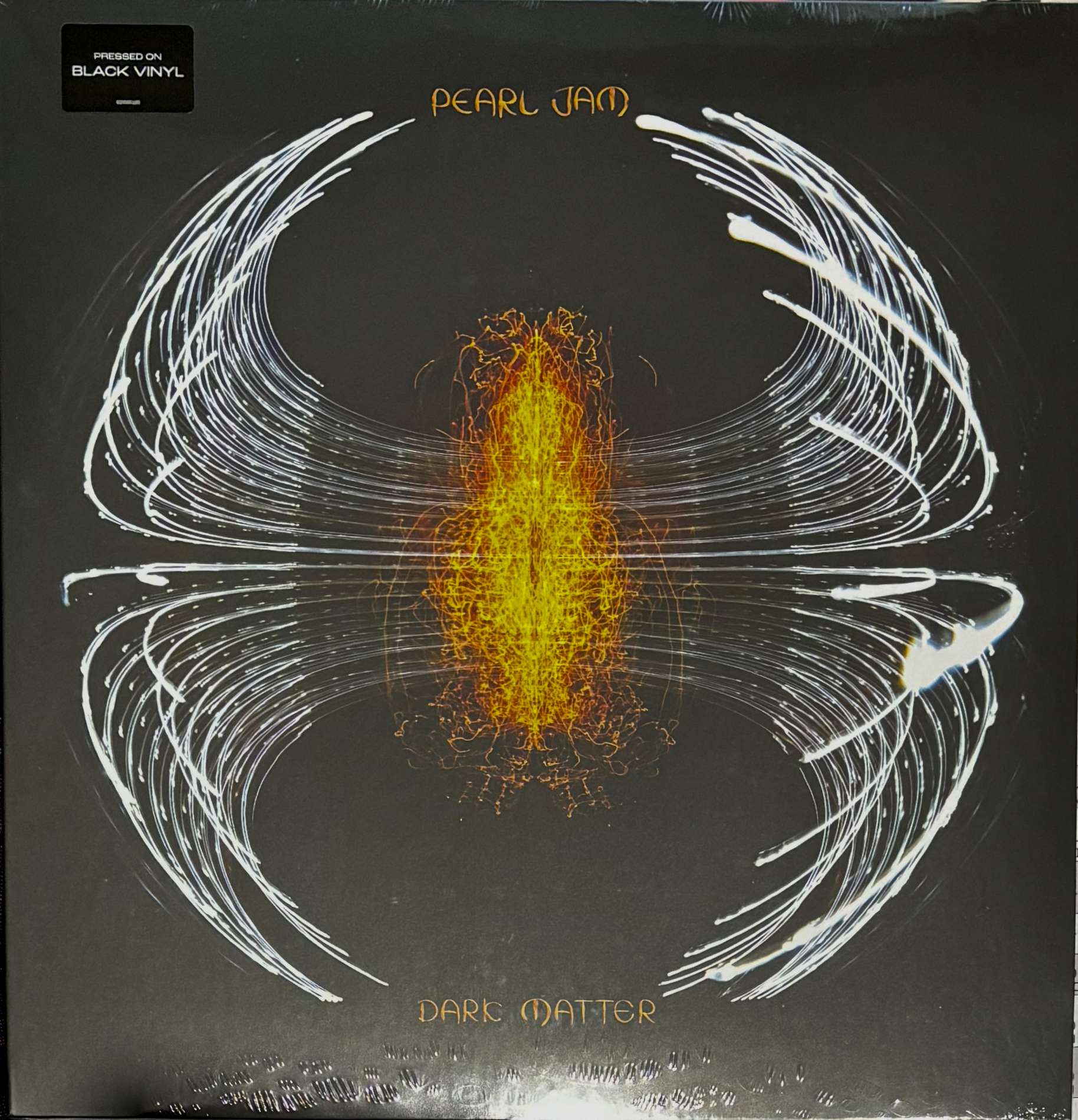 Pearl Jam - Dark matter (Vinyl)